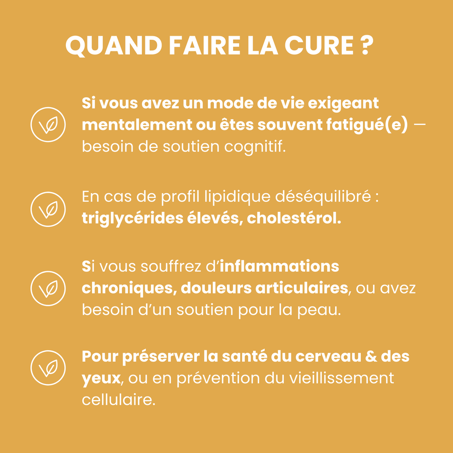 Omega 3 DHA boost : ciblé pour le cerveau, la vision, la grossesse et le développement neurocognitif.