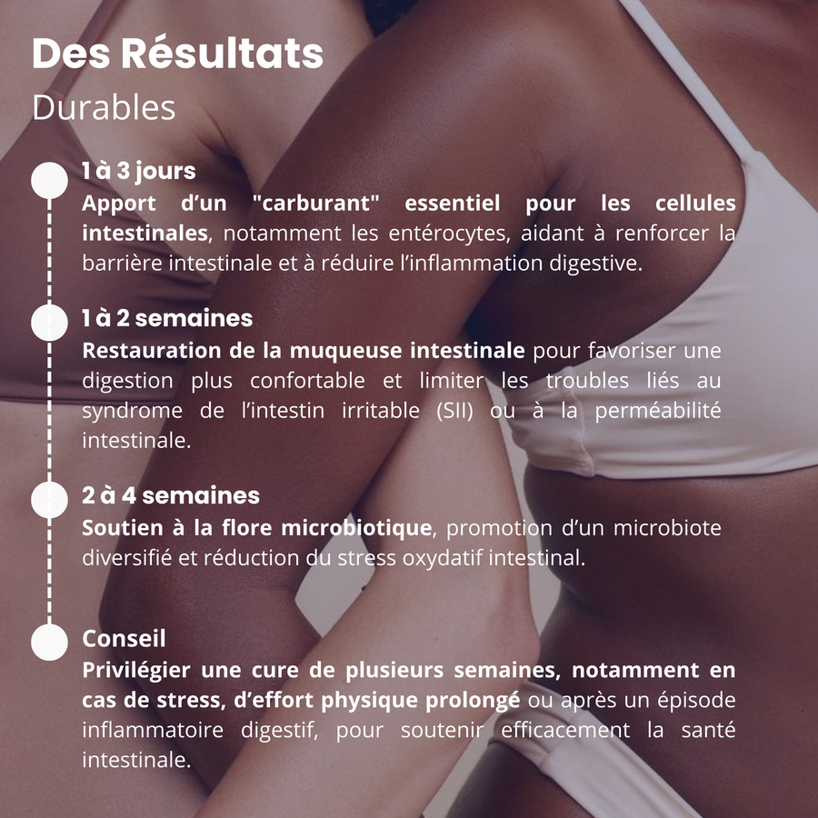 Glutamine ultra pure - Ciblé sur les  cellules immunitaires